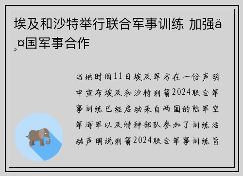 埃及和沙特举行联合军事训练 加强两国军事合作